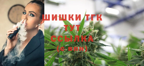 СК Верхний Тагил