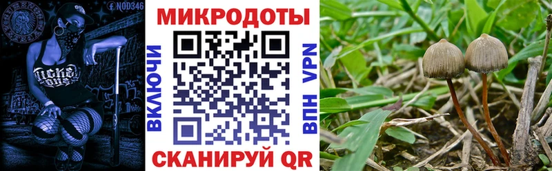 купить закладку  Калининск  Галлюциногенные грибы Psilocybine cubensis 